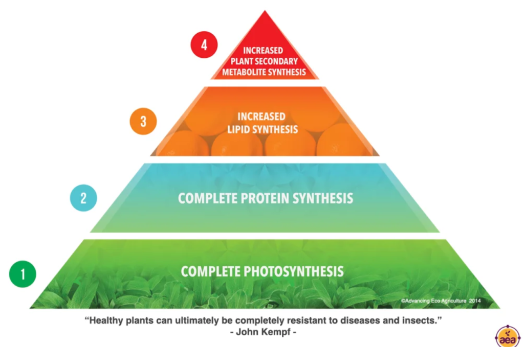 Plant health pyramid