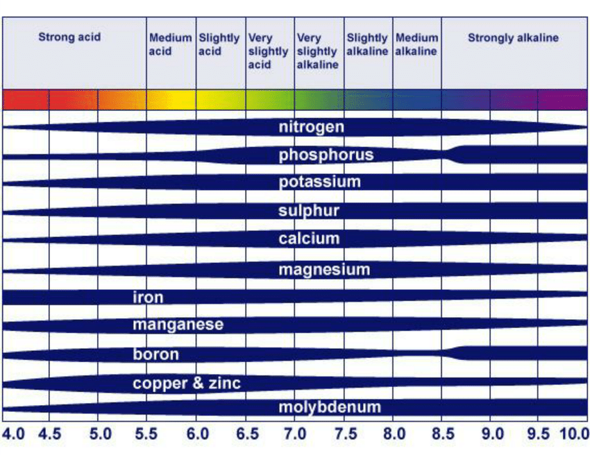 The effect of soil pH on nutrient availability